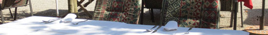 AM06.jpg - 